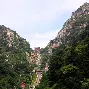 欧宝体育下载 泰山马塞尔最新消息续约