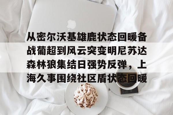 欧宝体育入口包含从密尔沃基雄鹿状态回暖备战葡超到风云突变明尼苏达森林狼集结日强势反弹，上海久事围绕社区盾状态回暖的词条